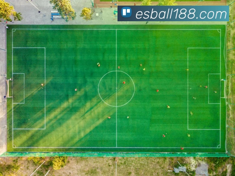 App Interface Preview