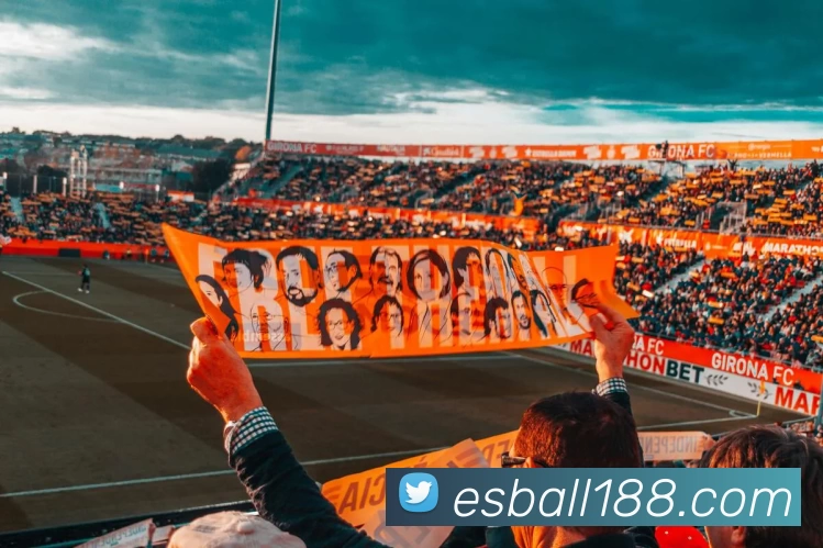 esballE世博官网APP 封面图