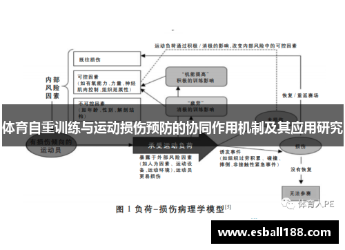 体育自重训练与运动损伤预防的协同作用机制及其应用研究