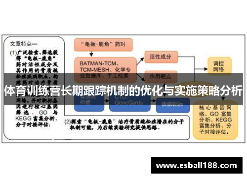 体育训练营长期跟踪机制的优化与实施策略分析