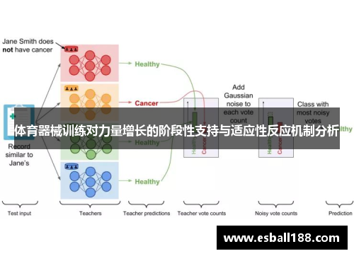 体育器械训练对力量增长的阶段性支持与适应性反应机制分析