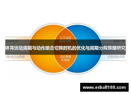 体育运动周期与动作组合切换时机的优化与周期分段策略研究